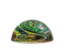 Load image into Gallery viewer, Green and gold marbled glass dome on a white background
